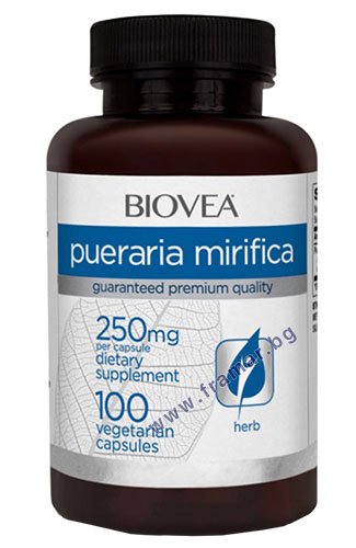 БИОВЕА ПУЕРАРИЯ МИРИФИКА капсули 250 мг * 100 | Apteka24.bg