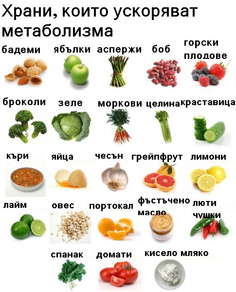 metabolism