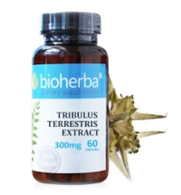 Bioherba Tribulus terrestris extract 300 mg. 60 capsules / Биохерба Трибулус екстракт 300 мг. 60 капсули