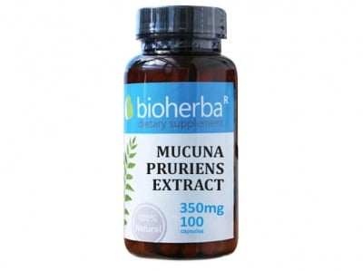 Bioherba Mucuna pruriens extract 350 mg. 100 capsules / Биохерба Мукуна пруриенс (Кадифен боб) 350 мг. 100 капсули