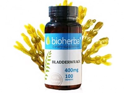 Bioherba bladderwrack 400 mg. 100 capsules / Биохерба мехурчесто водорасло 400 мг. 100 капсули