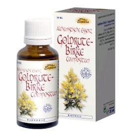 Solidago Virgaurea - Birch dro