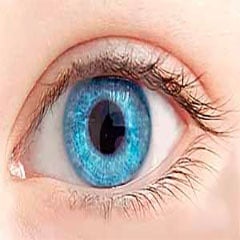 Очи и зрение