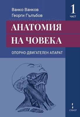 АНАТОМИЯ НА ЧОВЕКА ЧАСТ 1 ОПОРНО ДВИГАТЕЛЕН АПАРАТ - ВАНКО ВАНКОВ, ГЕОРГИ ГЪЛЪБОВ - СТЕНО