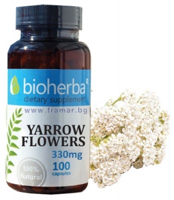 БИОХЕРБА БЯЛ РАВНЕЦ капсули 330 мг * 100