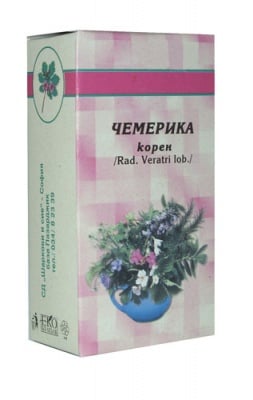 ЧЕМЕРИКА КОРЕН