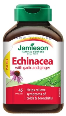 ДЖЕЙМИСЪН ЕХИНАЦЕЯ С ЧЕСЪН И ДЖИНДЖИФИЛ капсули * 45