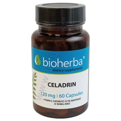 БИОХЕРБА ЦЕЛАДРИН + ВИТАМИН D капсули 120 мг * 60