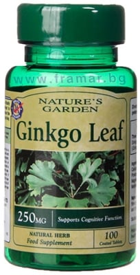 ГИНКО БИЛОБА ЛИСТ таблетки 250 мг * 100 NATURE'S GARDEN