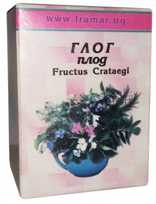 ГЛОГ ПЛОД