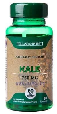 КЕЙЛ - КЪДРАВО ЗЕЛЕ капсули 750 мг * 60 HOLLAND & BARRETT