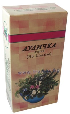 ЛУЛИЧКА СТРЪК