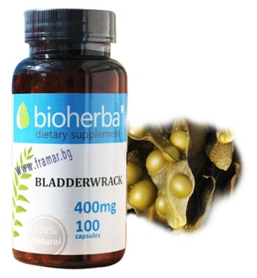 БИОХЕРБА МЕХУРЧЕСТО ВОДОРАСЛО капсули 400 мг * 100