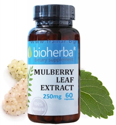 БИОХЕРБА ЕКСТРАКТ ОТ ЛИСТА НА ЧЕРНИЦА капсули 250 мг. * 60