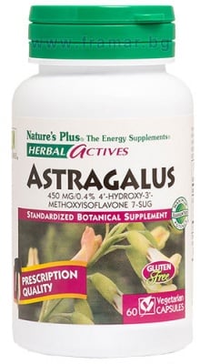 НЕЙЧЪРС ПЛЮС HERBAL ACTIVES АСТРАГАЛ капсули 450 мг * 60