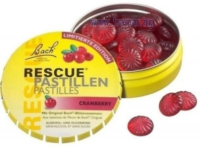 РЕСКЮ БОРОВИНКА пастили 50 гр.