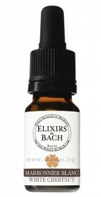 ЕЛИКСИР БАХ БЯЛ ДИВ КЕСТЕН 10 мл LES FLEURS DE BACH