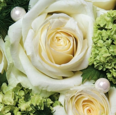 Салфетка PPD, 33 x 33 cm, пак.20 бр. 19663