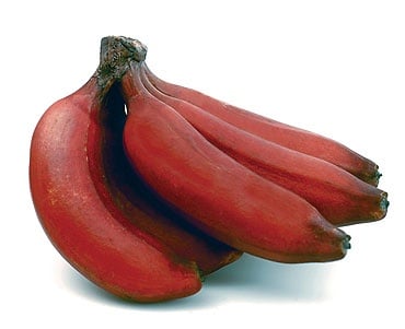 Червеният банан - екзотичен и полезен