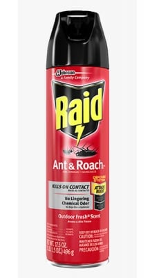 Raid aerosol dor crawling inse