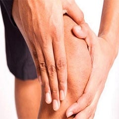 Опорно-двигателна система