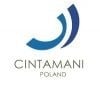 Cintamani