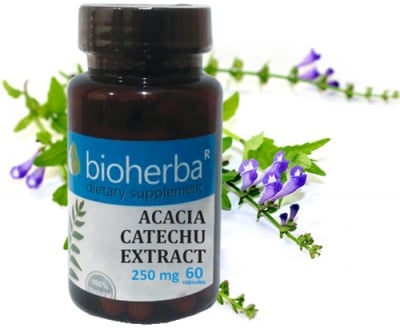 Bioherba Acacia catechu extrac