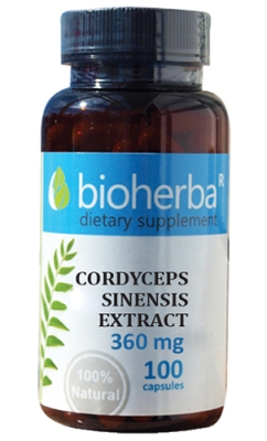 Bioherba Cordyceps sinensis 36