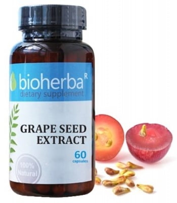 Bioherba grape seed extract 60