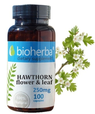 Bioherba Hawthorn flower and l