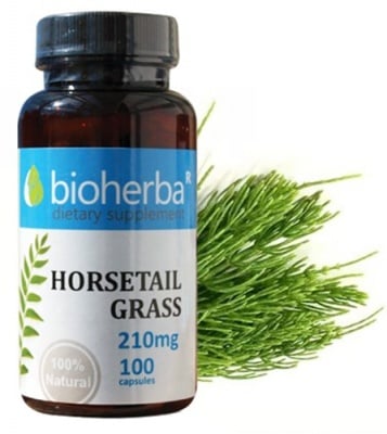 Bioherba horsetail grass 210 m
