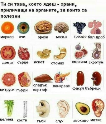 Храни, приличащи на органите, за които са полезни
