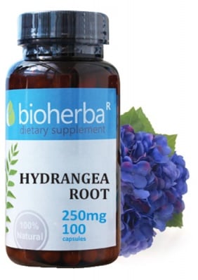 Bioherba Hydrangea root 250 mg