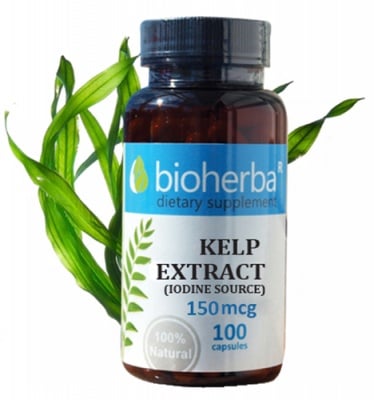 Bioherba Kelp extract 150 mcg