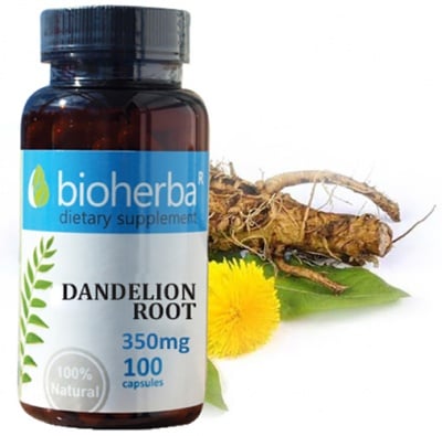 Bioherba Dandelion root 350 mg