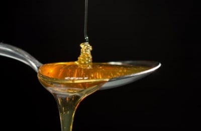 Мощните антибактериални и лечебни свойства на меда