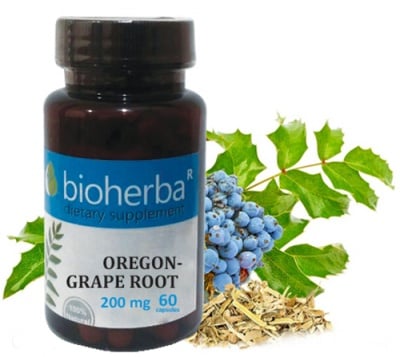 Bioherba Oregon grape root 200
