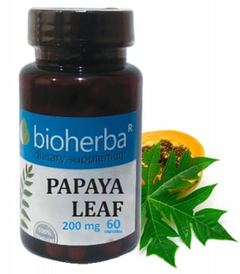 Bioherba Papaya leaf 200 mg 60