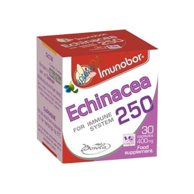 Imunobor Echinacea 400 mg 30 c