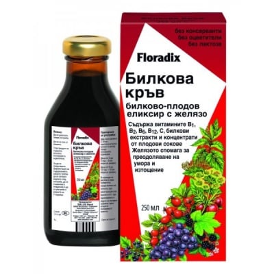 Floradix Билкова Кръв с желязо