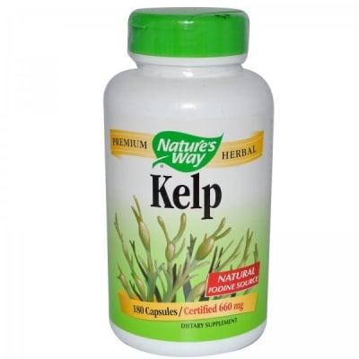 Kelp / Келп - Кафяви водорасли