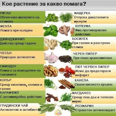 Кое растение за какво помага?