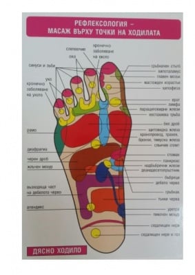 ТАБЛО: РЕФЛЕКСОЛОГИЯ - МАСАЖ ВЪРХУ ТОЧКИ НА ХОДИЛАТА - СКОРПИО