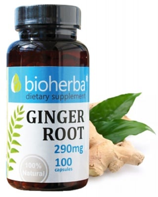 Bioherba Ginger root 290 mg 10