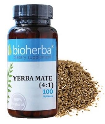 Bioherba yerba mate 500 mg 100