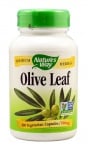 Olive Leaf 500 mg. 100 capsule