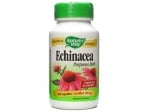 Echinacea 400 mg 100 capsules Nature's Way / Ехинацея 400 мг. 100 капсули Nature's Way