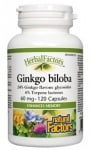 Ginkgo biloba 60 mg 120 capsul