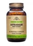 Astragalus root extract 60 cap