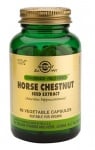 Horse chestnut seed extract 60